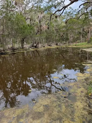0 SE Bee Tree Road Gulf Hammock FL 32639