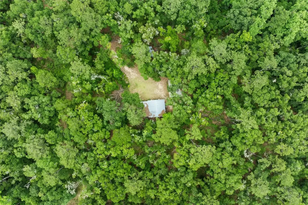 8250 Waukeenah Highway Monticello FL 32344