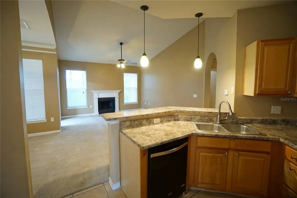 18004 Villa Creek Drive Tampa FL 33647