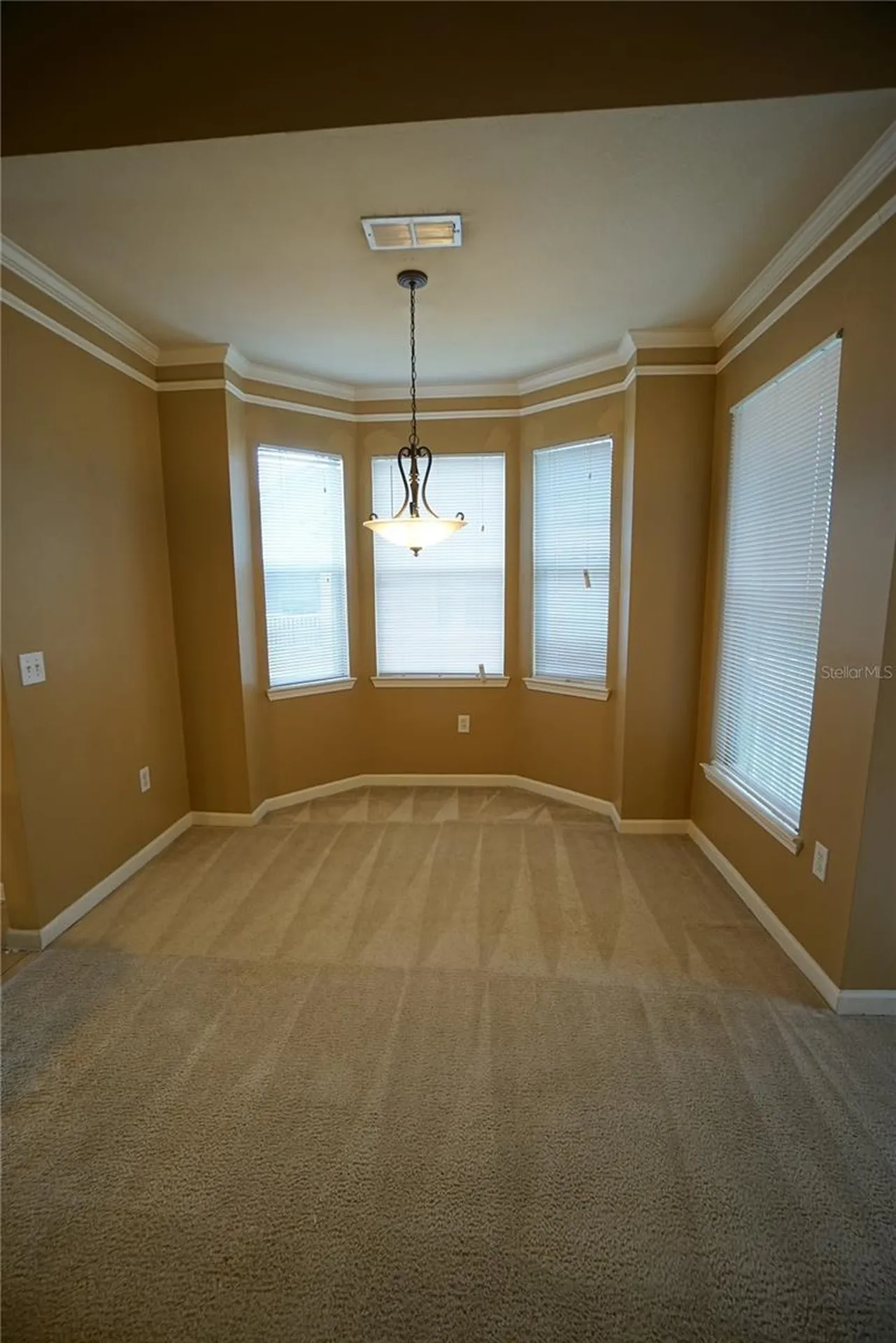 18004 Villa Creek Drive Tampa FL 33647