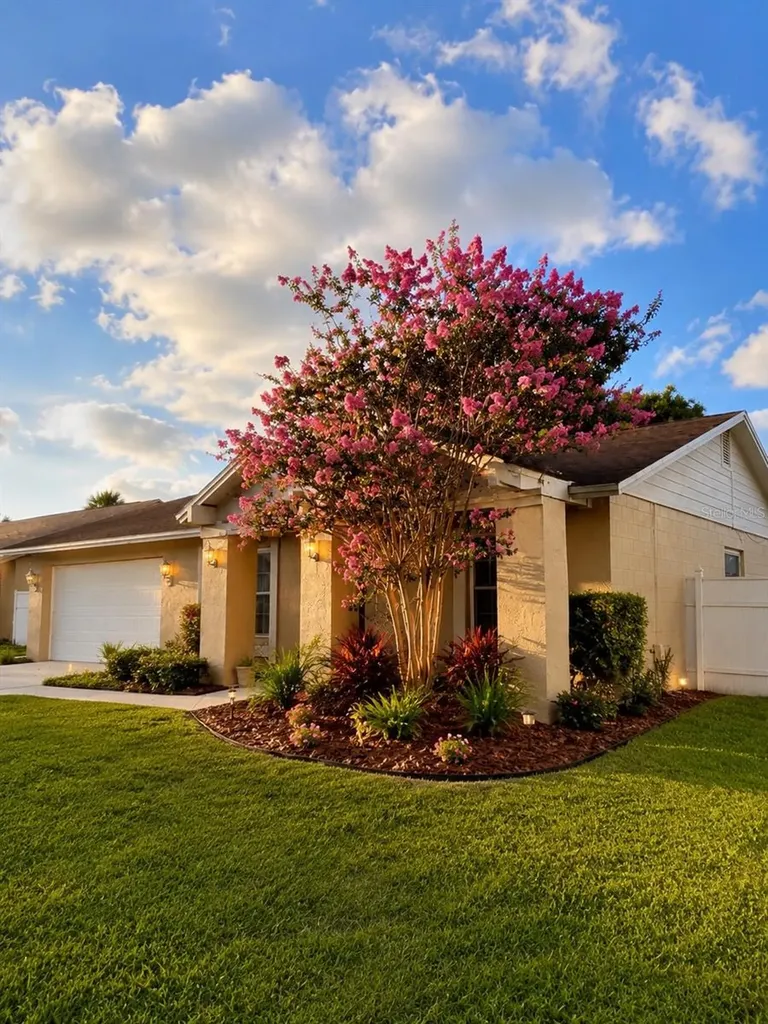 11008 Wingate Drive Tampa FL 33624