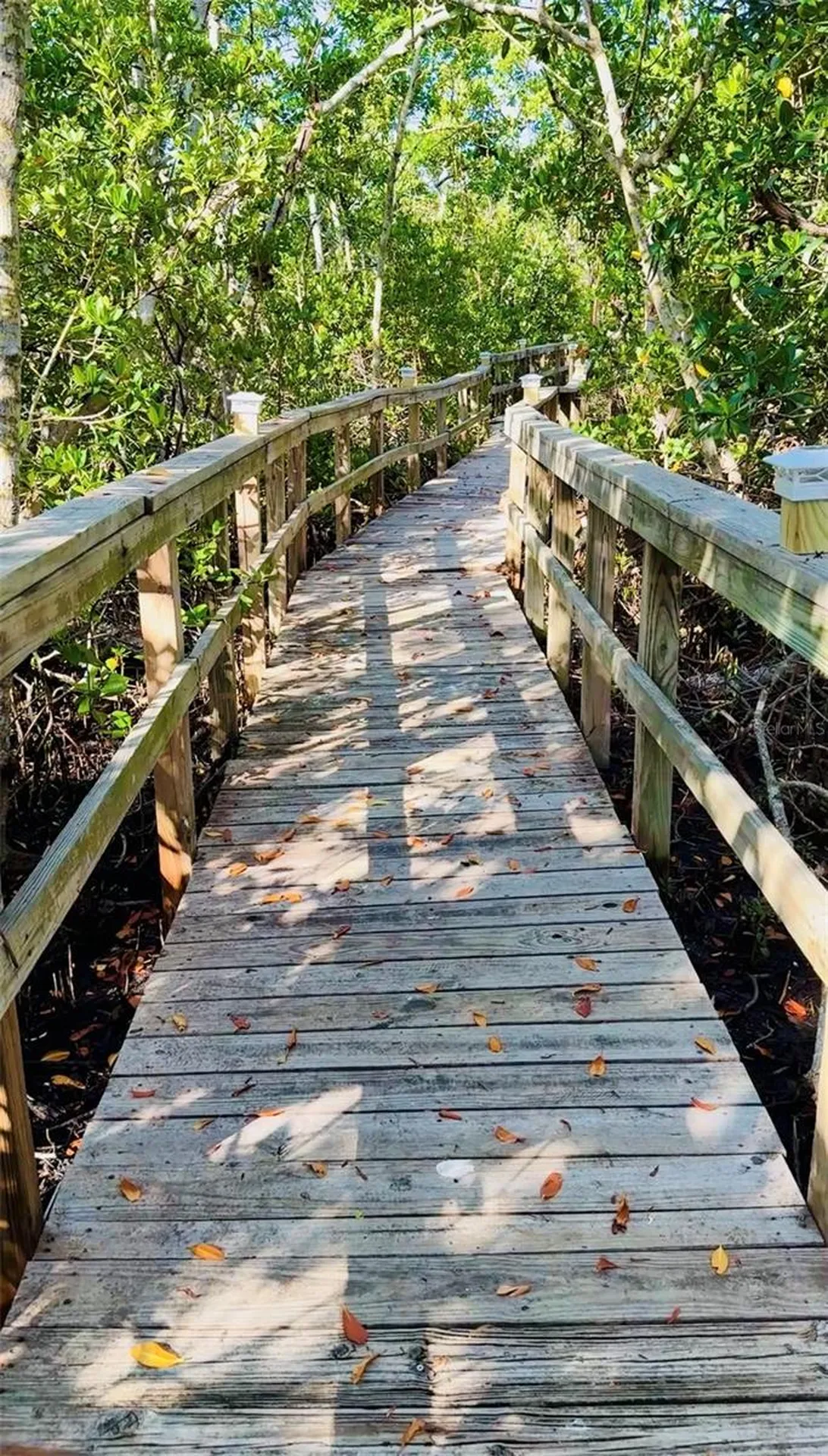 848 Evergreen Way Longboat Key FL 34228