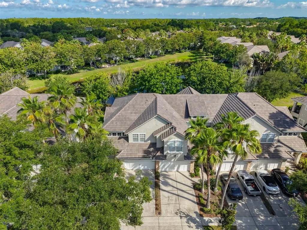 14526 Mirabelle Vista Circle Tampa FL 33626