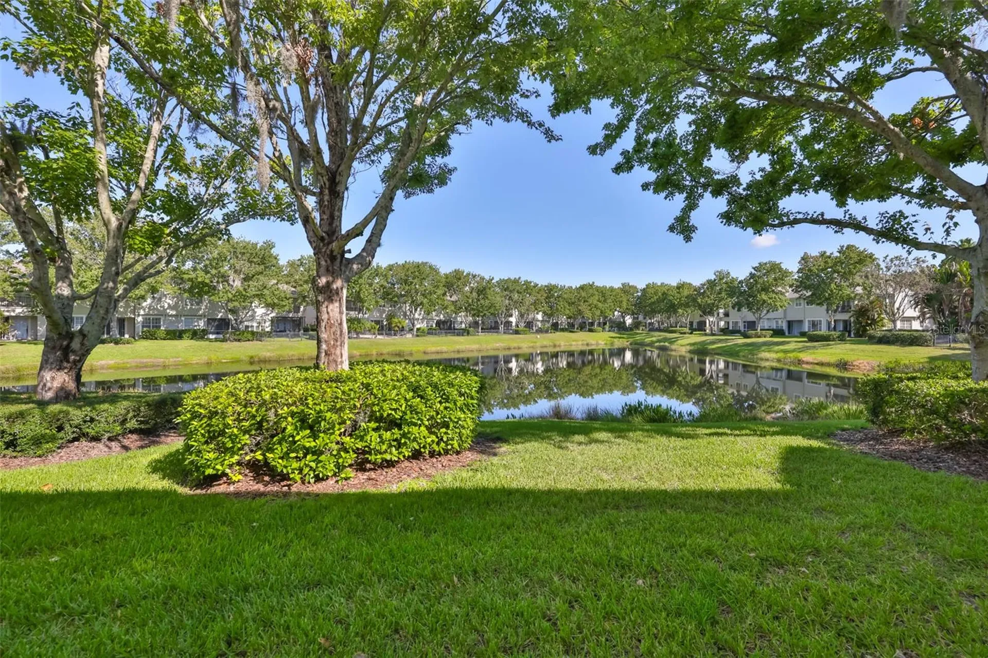 14526 Mirabelle Vista Circle Tampa FL 33626
