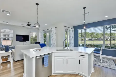 14526 Mirabelle Vista Circle Tampa FL 33626