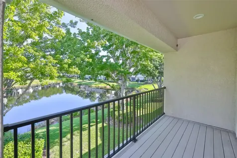 14526 Mirabelle Vista Circle Tampa FL 33626