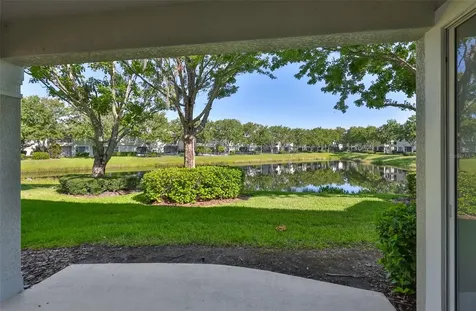 14526 Mirabelle Vista Circle Tampa FL 33626