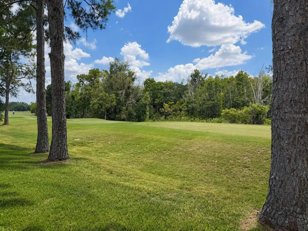 17422 Heather Oaks Place Tampa FL 33647