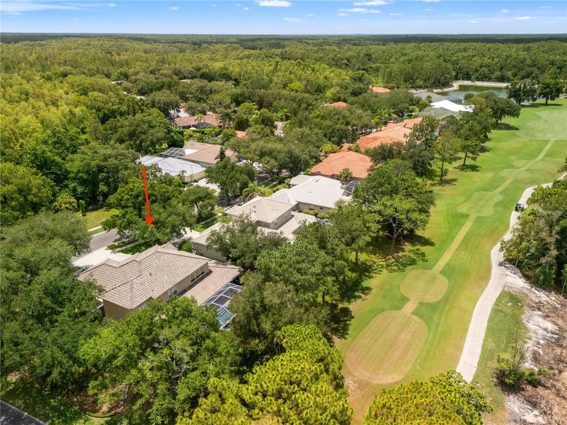 17422 Heather Oaks Place Tampa FL 33647