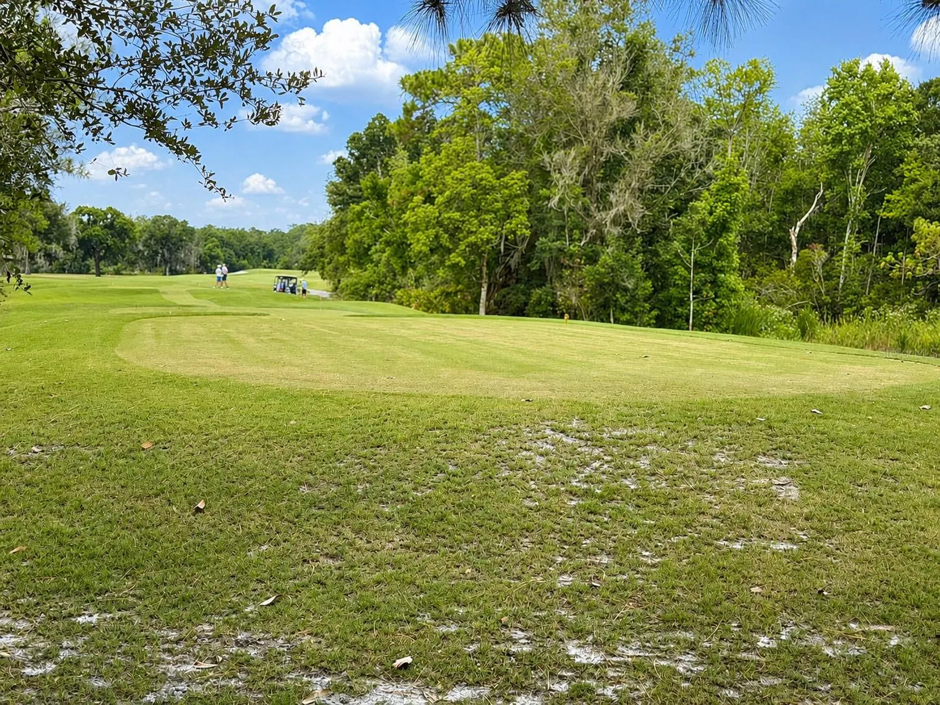 17422 Heather Oaks Place Tampa FL 33647