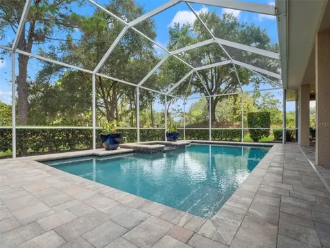 17422 Heather Oaks Place Tampa FL 33647