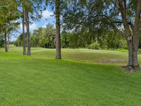 17422 Heather Oaks Place Tampa FL 33647