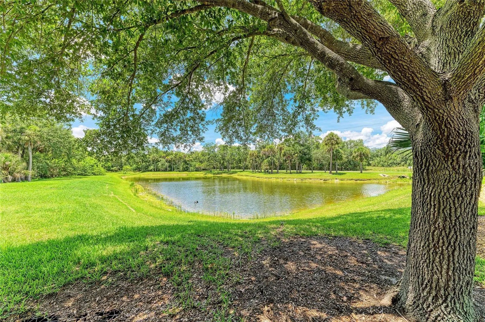 2084 La Palma Avenue Port Charlotte FL 33953