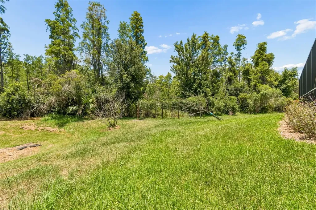 10746 Cory Lake Drive Tampa FL 33647