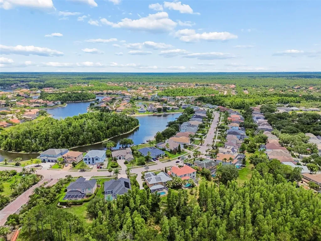 10746 Cory Lake Drive Tampa FL 33647