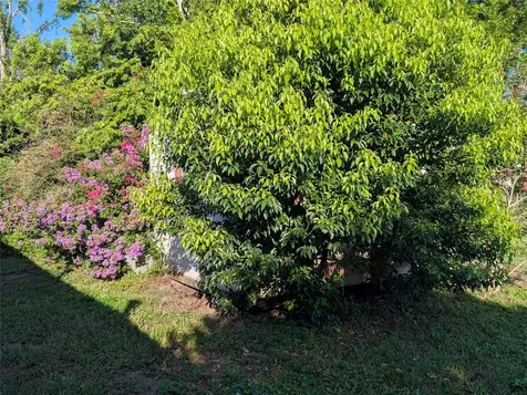 34 Sevilla Avenue Arcadia FL 34266