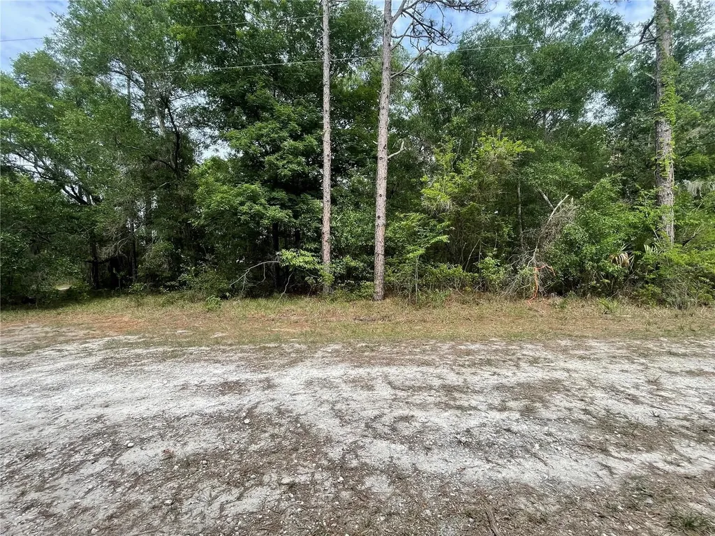 16486 Curlew Road Brooksville FL 34614