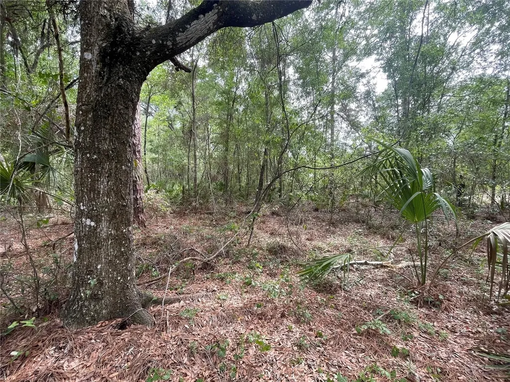 16486 Curlew Road Brooksville FL 34614