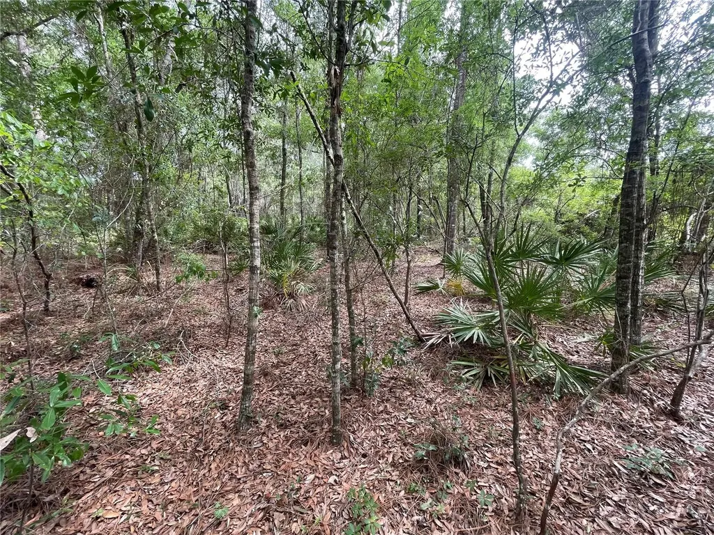 16486 Curlew Road Brooksville FL 34614