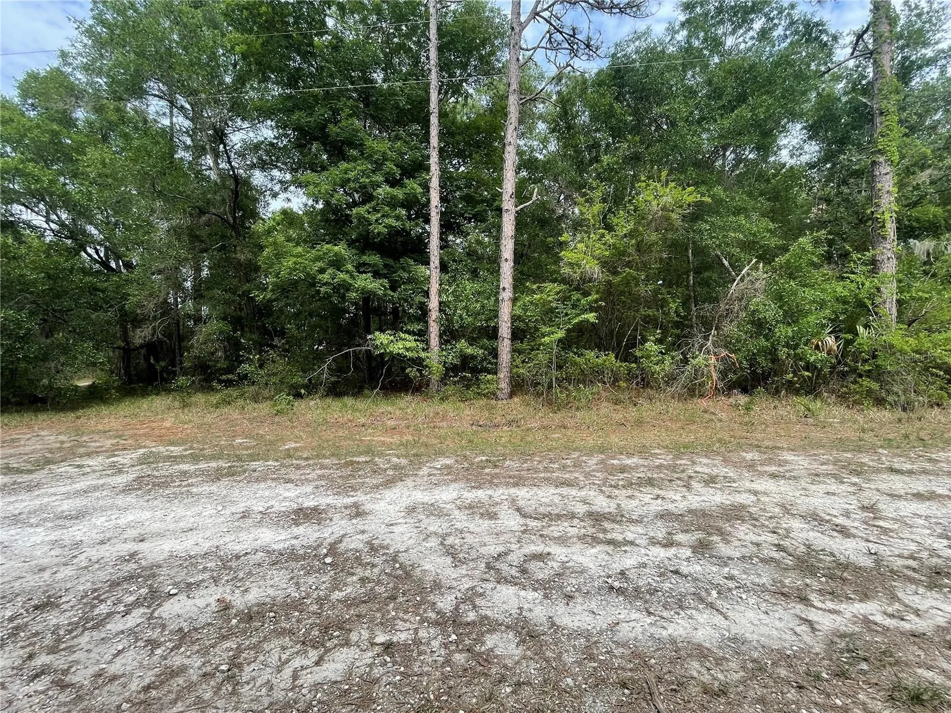 16486 Curlew Road Brooksville FL 34614