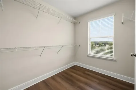 10522 Green Ivy Lane Orlando FL 32832