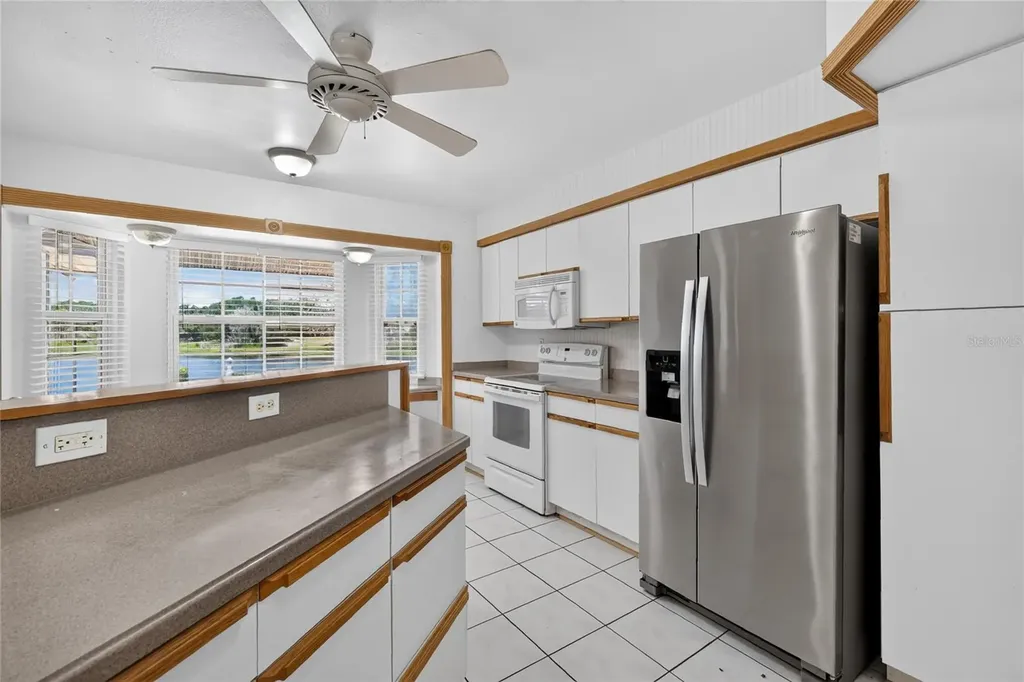 302 E Mirror Lake Drive Fruitland Park FL 34731