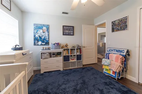 1005 Tranquiview Lane Valrico FL 33594