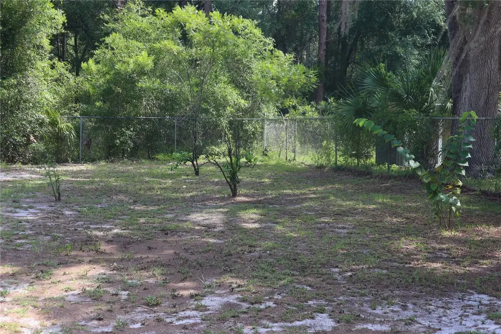 14875 NE 155th Street Fort Mc Coy FL 32134