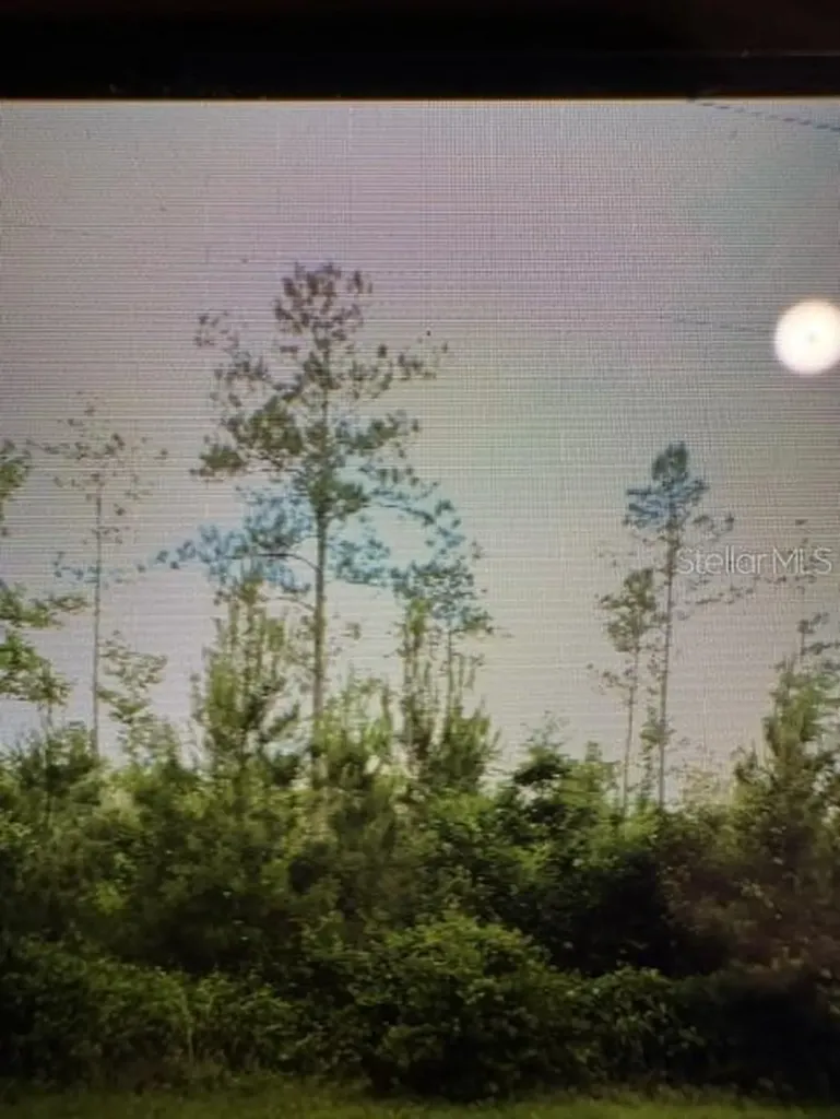 County Road 305 Bunnell FL 32110