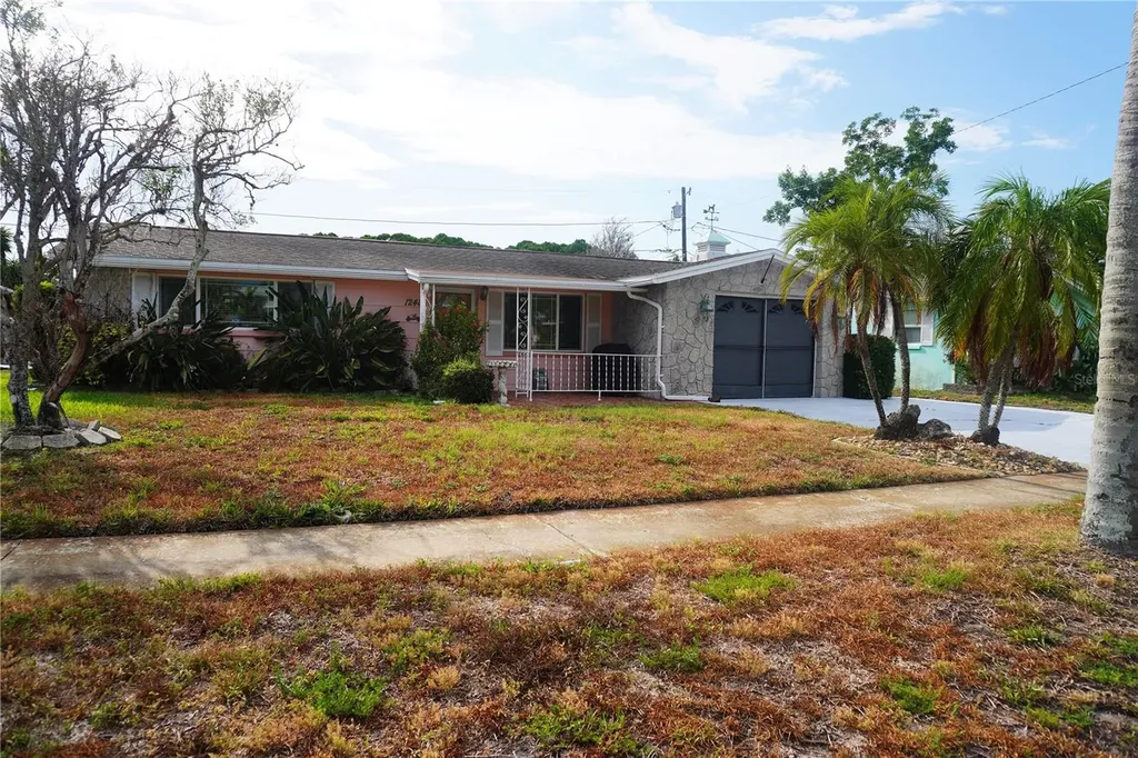 1248 Ermine Drive Holiday FL 34690