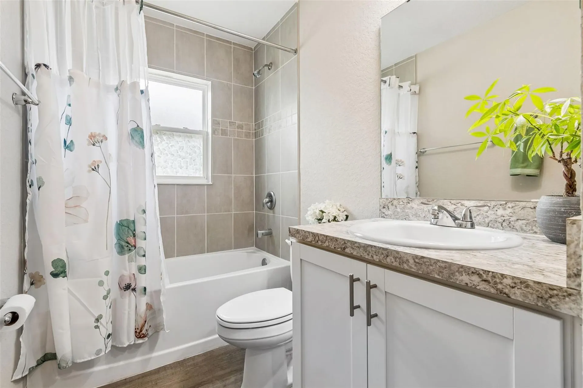 11669 Stone Pine Street Riverview FL 33569