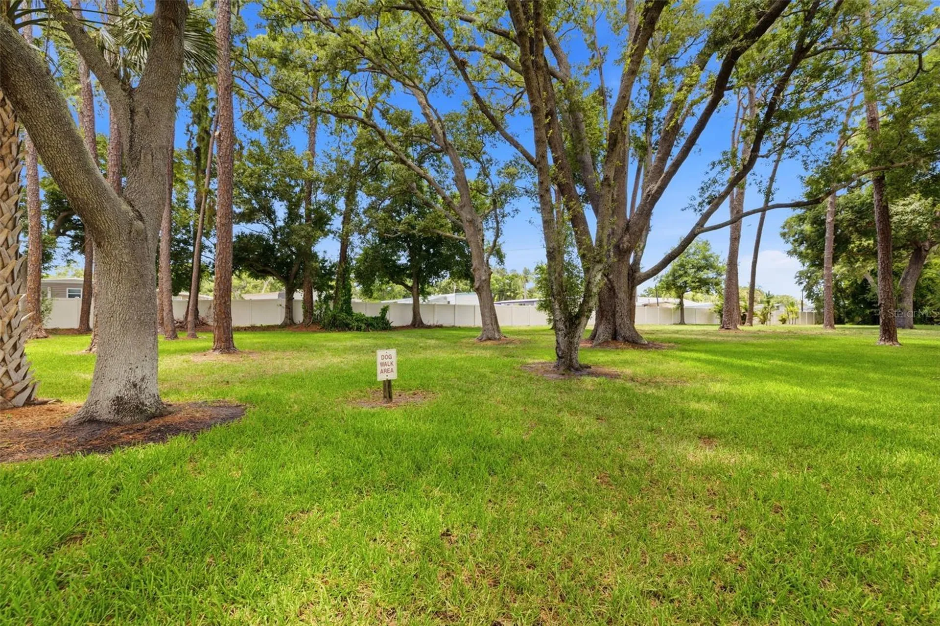 5265 E Bay Drive Clearwater FL 33764
