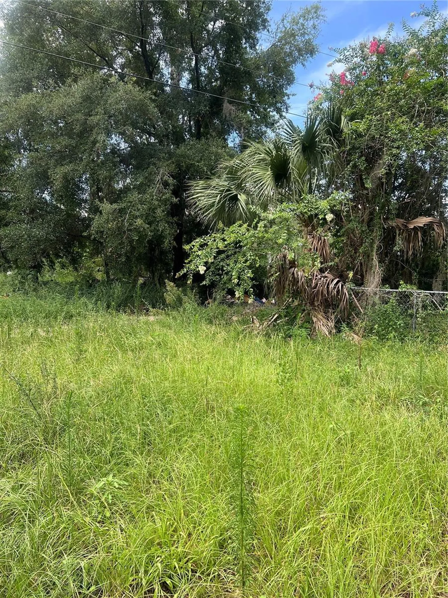 5530 SE 41st St Ocala, Fl Ocala FL 34480