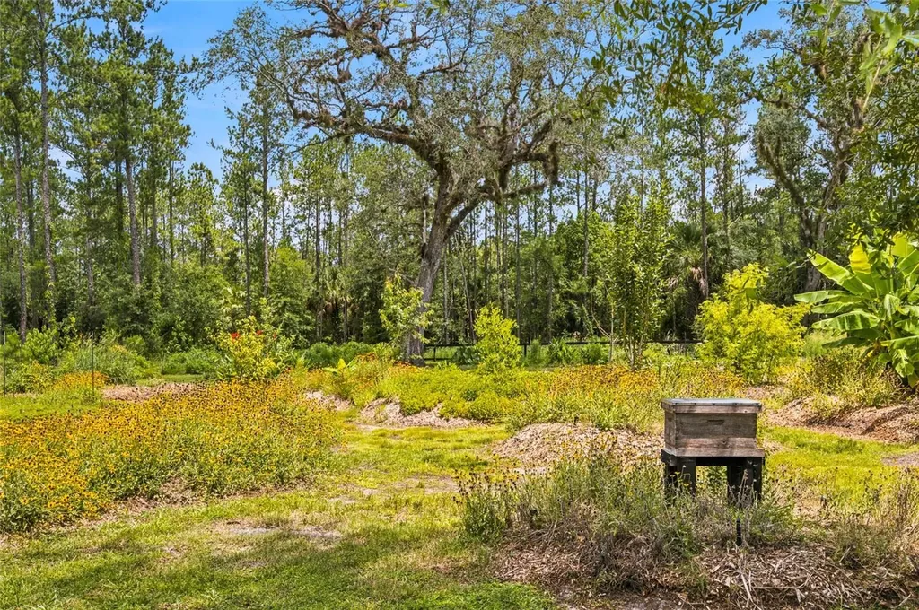 10080 SE 1st Street Road Silver Springs FL 34488