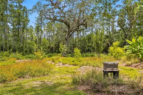 10080 SE 1st Street Road Silver Springs FL 34488