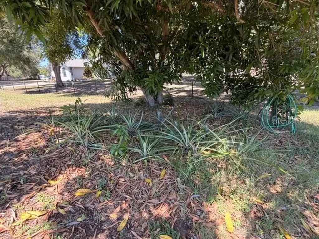 4944 Midnight Lane Sarasota FL 34235