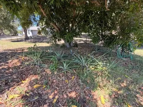 4944 Midnight Lane Sarasota FL 34235