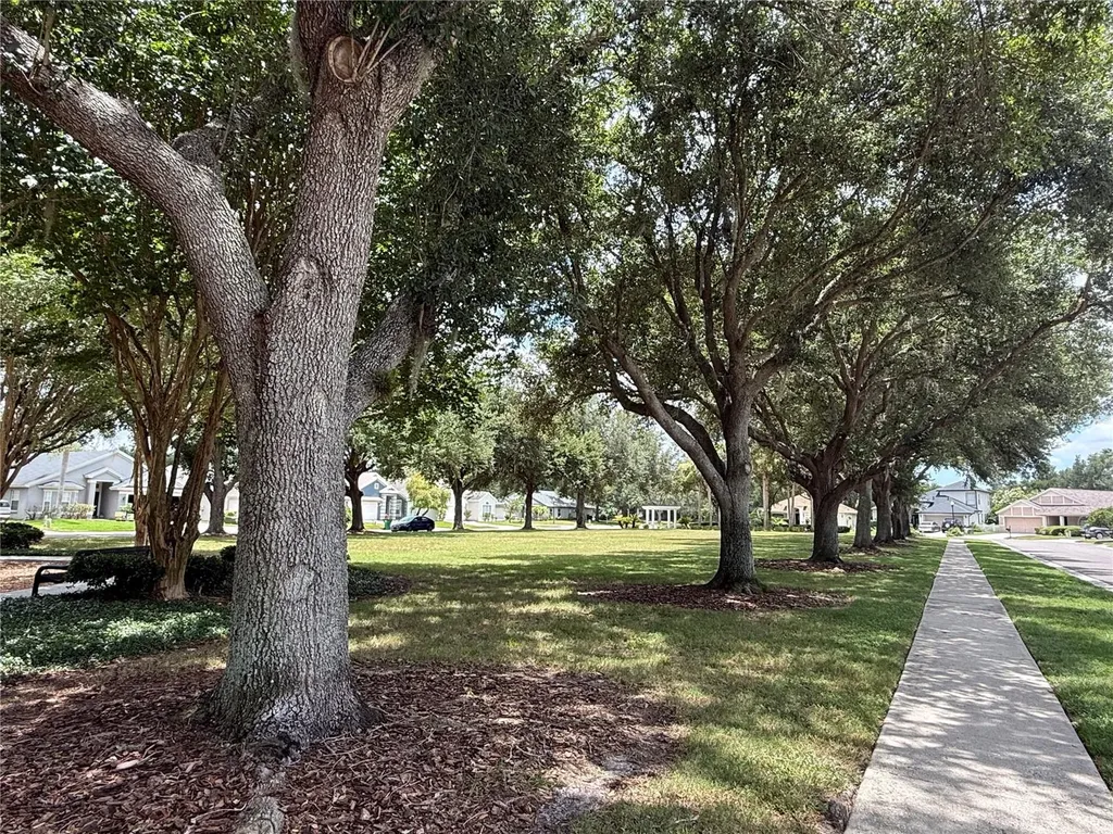 2418 Rosehaven Drive Wesley Chapel FL 33544