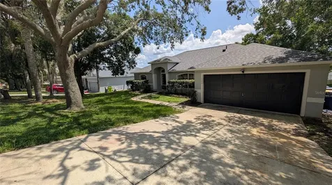 1306 Windy Bluff Drive Minneola FL 34715