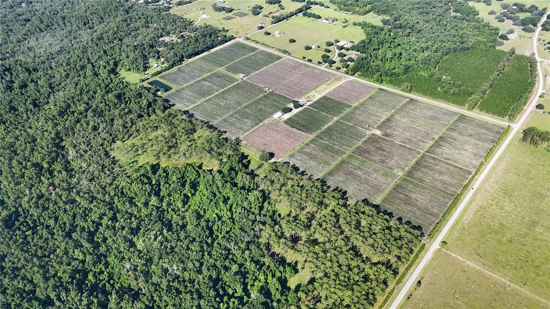 24063 Hayman Road Brooksville FL 34602
