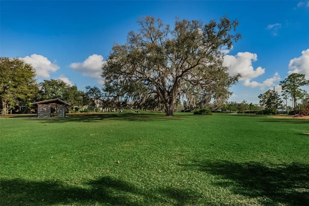 13125 Batten Lane Odessa FL 33556