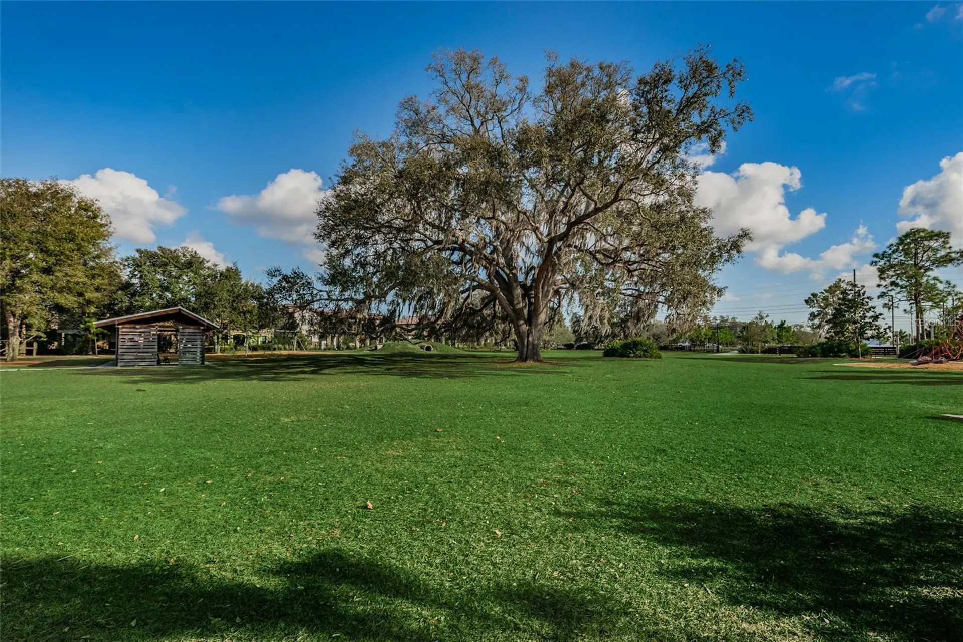 13125 Batten Lane Odessa FL 33556