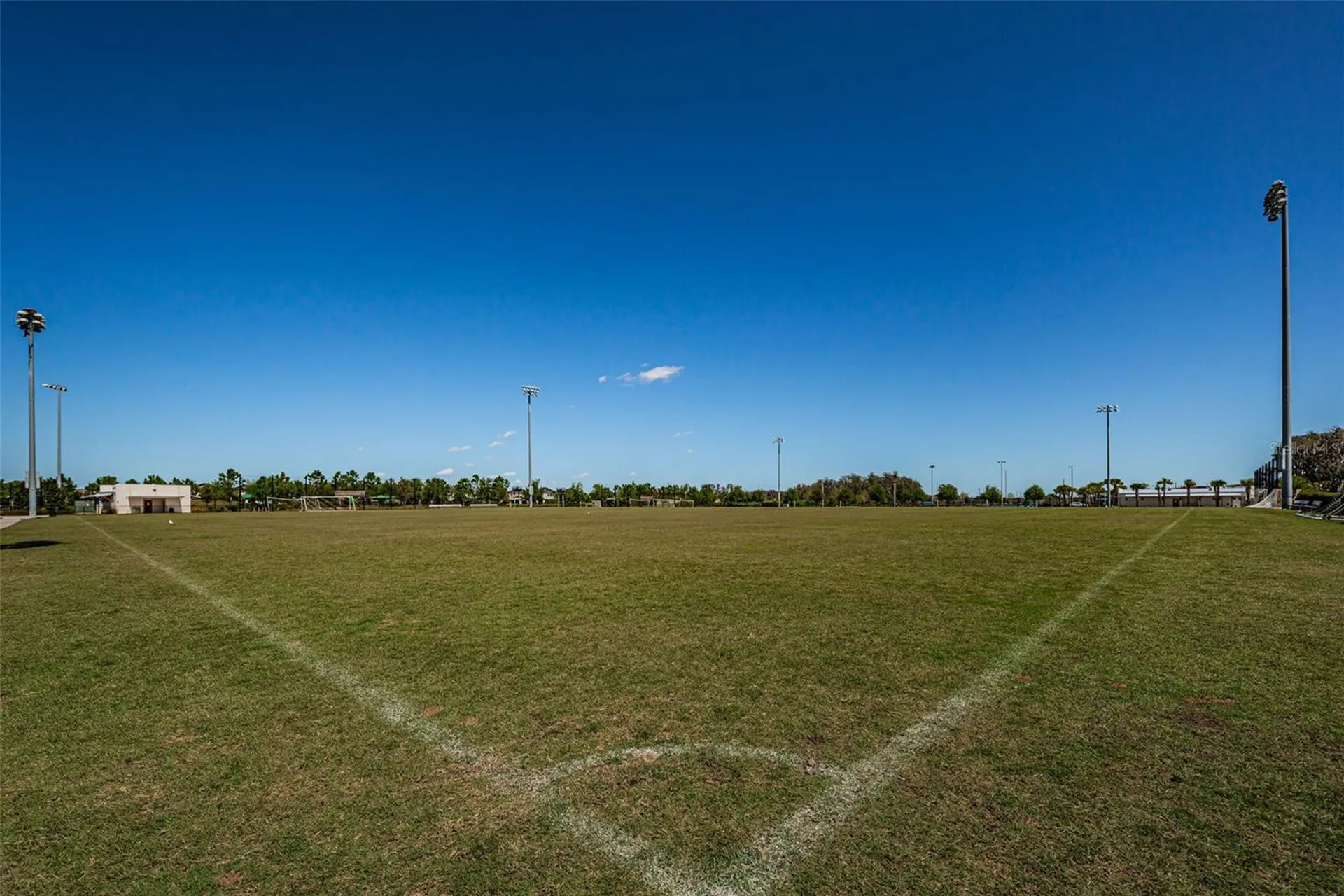 13125 Batten Lane Odessa FL 33556