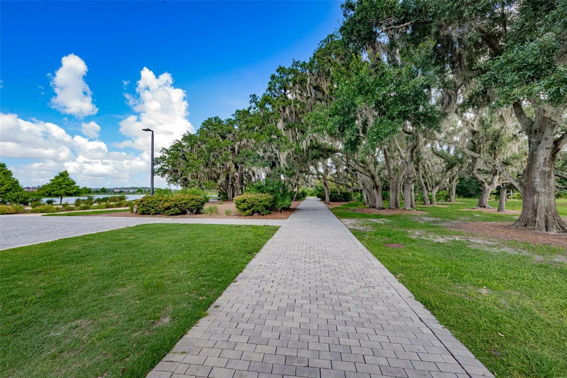 13125 Batten Lane Odessa FL 33556