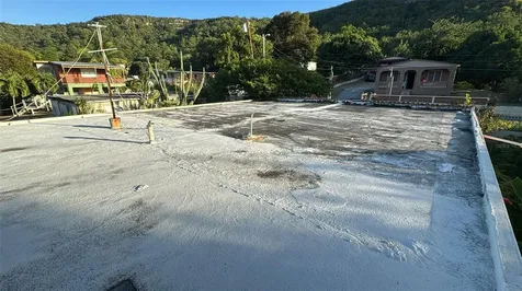 203 Comm Maria Antonia Guanica PR 00653