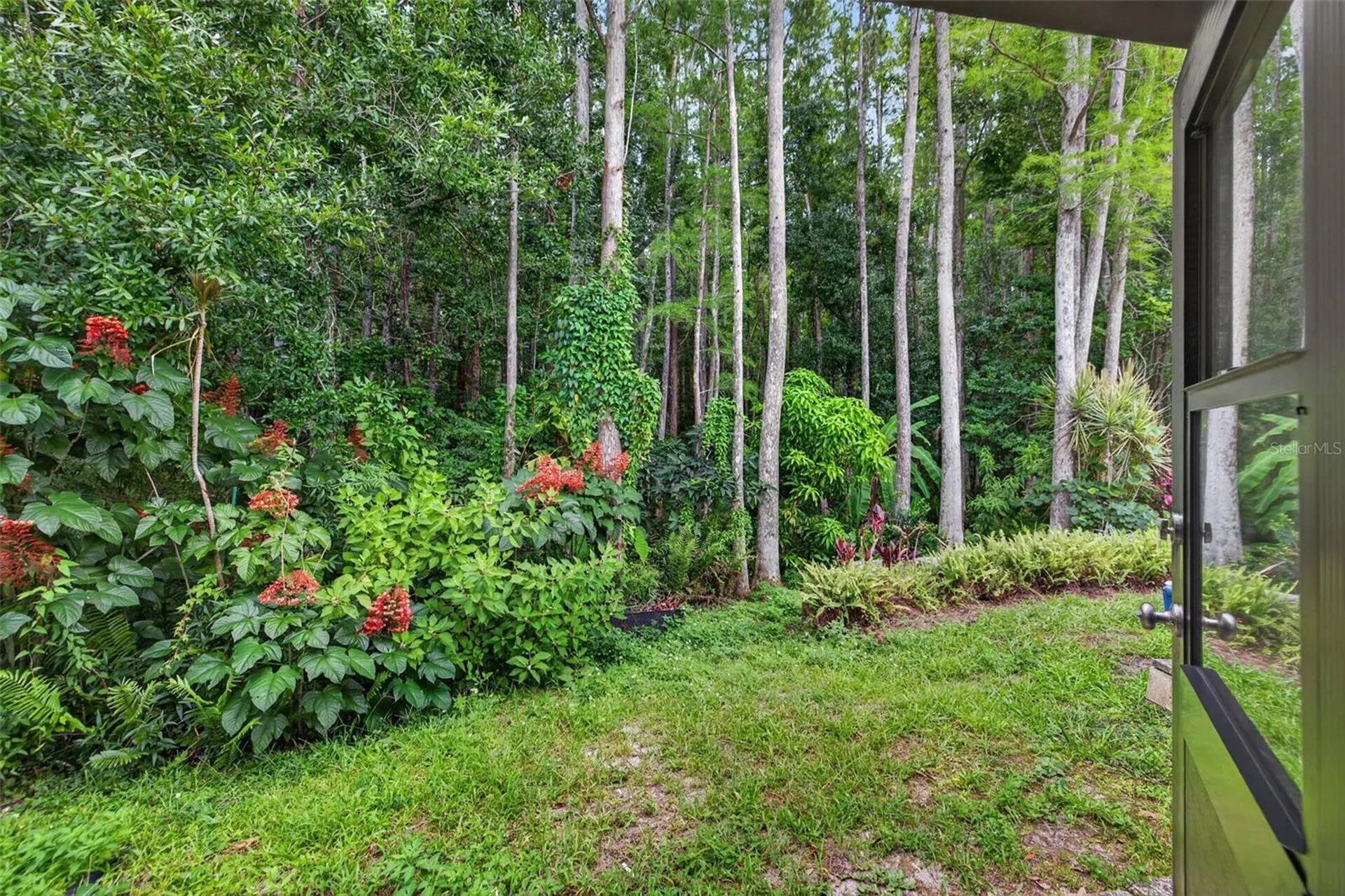 5808 Red Cedar Lane Tampa FL 33625