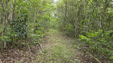 Pr 669 Km 0.3 Int Pr 828 Vega Alta PR 00692