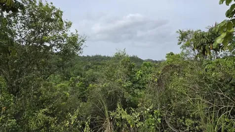 Pr 669 Km 0.3 Int Pr 828 Vega Alta PR 00692