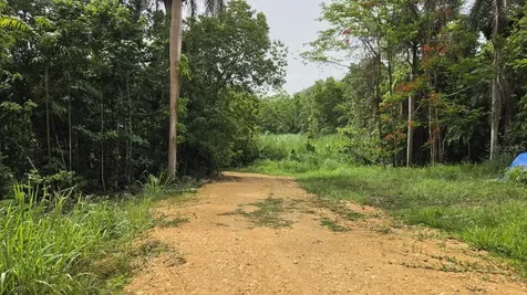Pr 669 Km 0.3 Int Pr 828 Vega Alta PR 00692