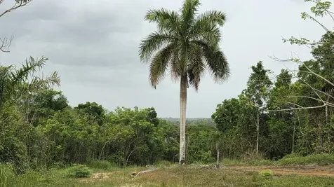 Pr 669 Km 0.3 Int Pr 828 Vega Alta PR 00692